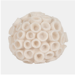 Outside The Box 6" Ivory Coastal Coral Resin Decorative Orb