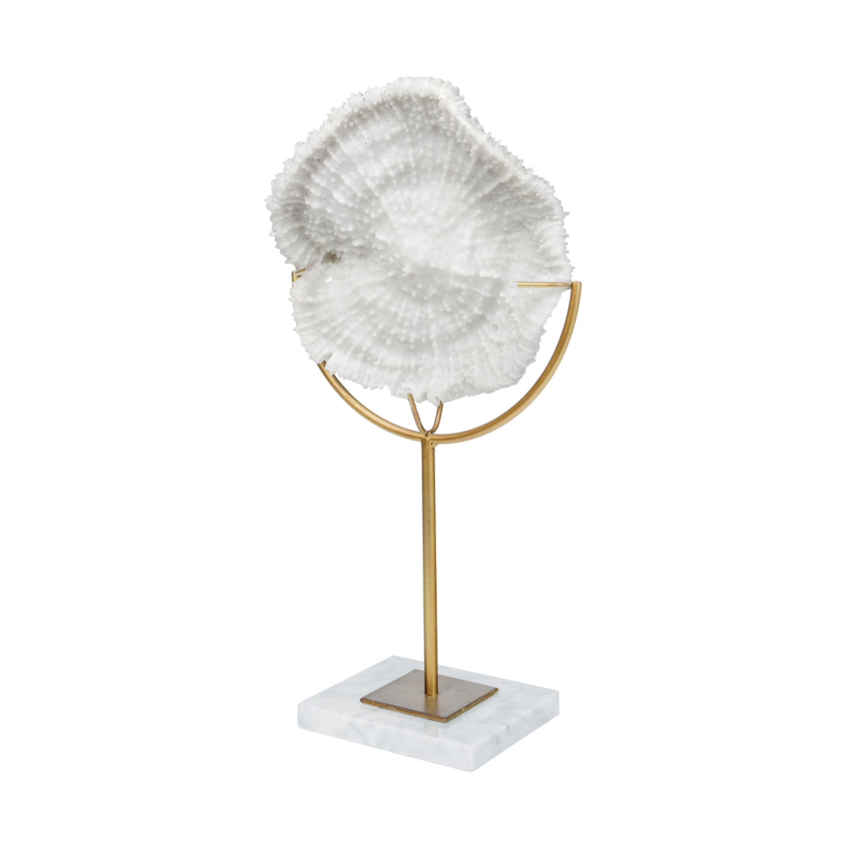 Outside The Box 11" Sandy I White Coastal Sand Dollar Sculpture