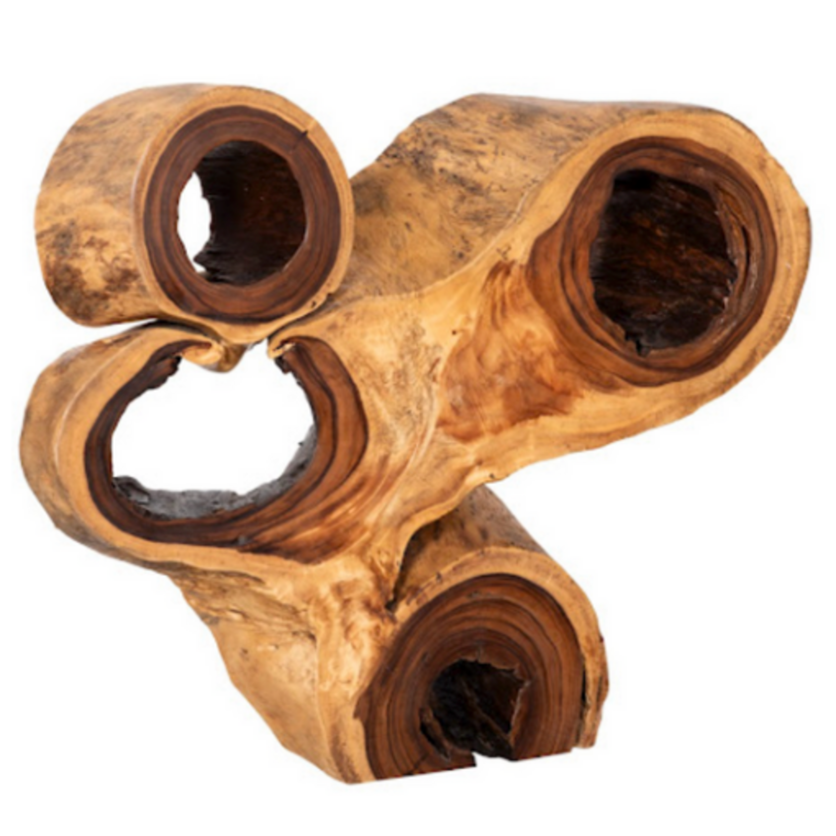 Outside The Box 63x40x56 Colossal Freeform Natural Chamcha Wood Console Table #1