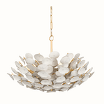 Outside The Box 21" Aimi Whitewashed Coco Shells & Vintage Gold Frame Chandelier