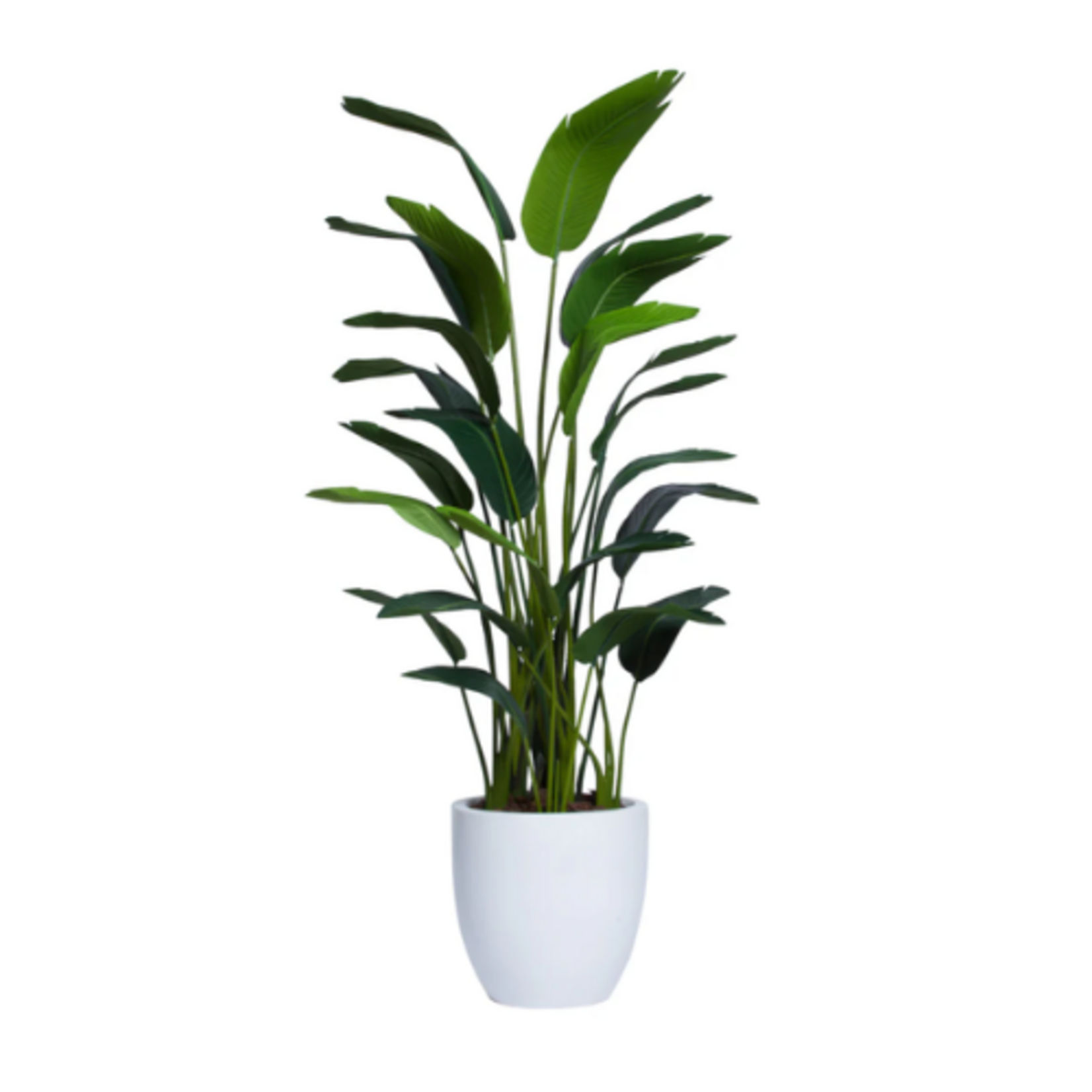 Outside The Box 8' Deluxe Palm Traveler's Silk Plant 19" White Tapered Pot