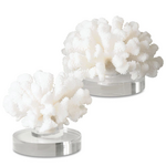 Outside The Box 6" & 5" Set Of 2 Coral Hard Textured Sculpture