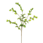 Outside The Box 40" Green Blooming Hop Bells Stem Faux Decor
