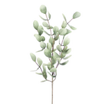 Outside The Box 46"  Eucalyptus Green Tree Branch Faux Decor