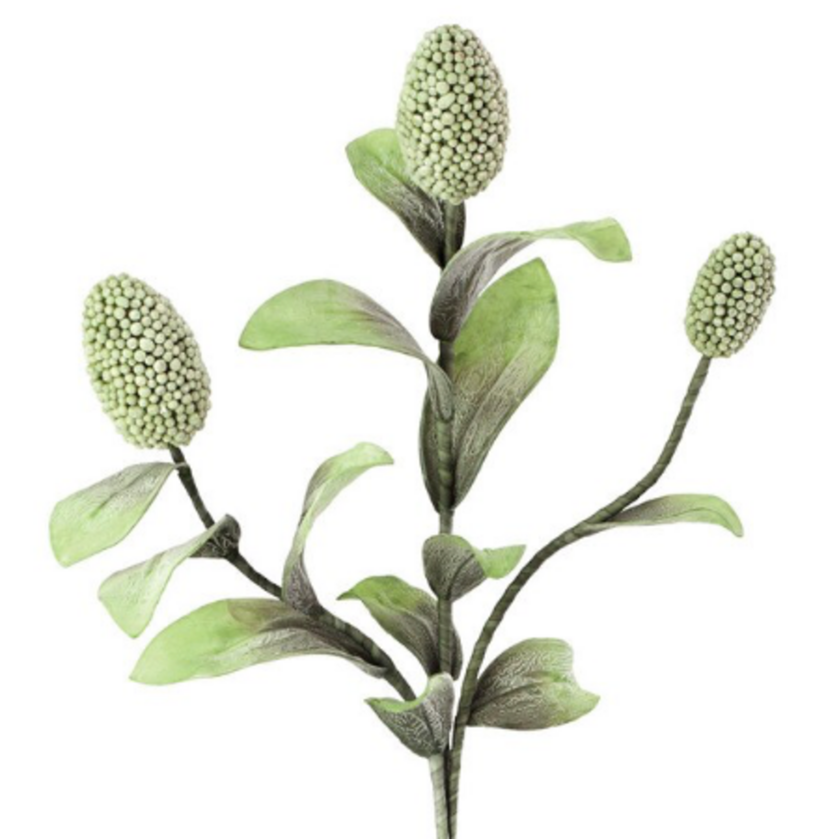 Outside The Box 41" Banksia Spray Stem Faux Decor