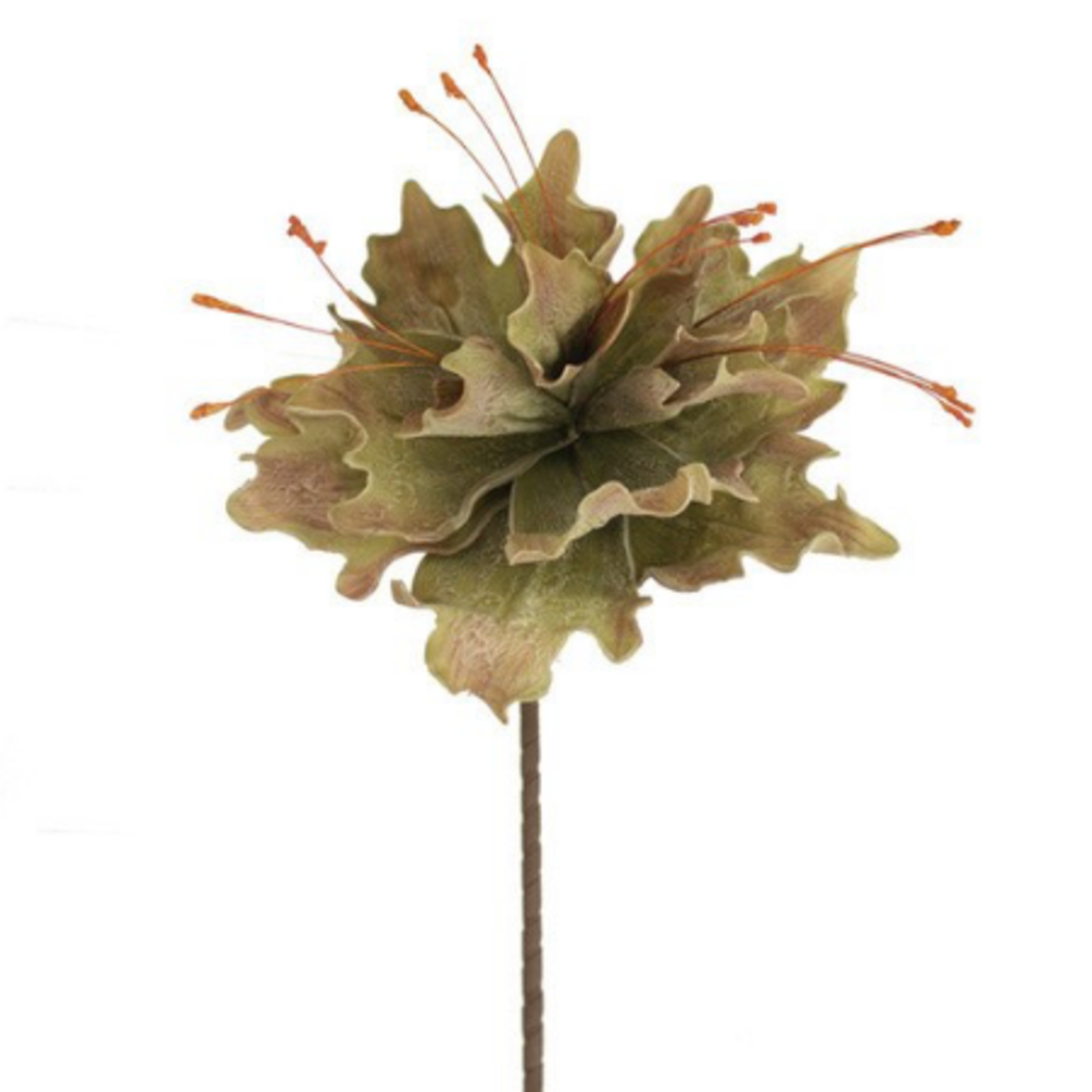 Outside The Box 24" Lettuce Succulent Stem Faux Decor