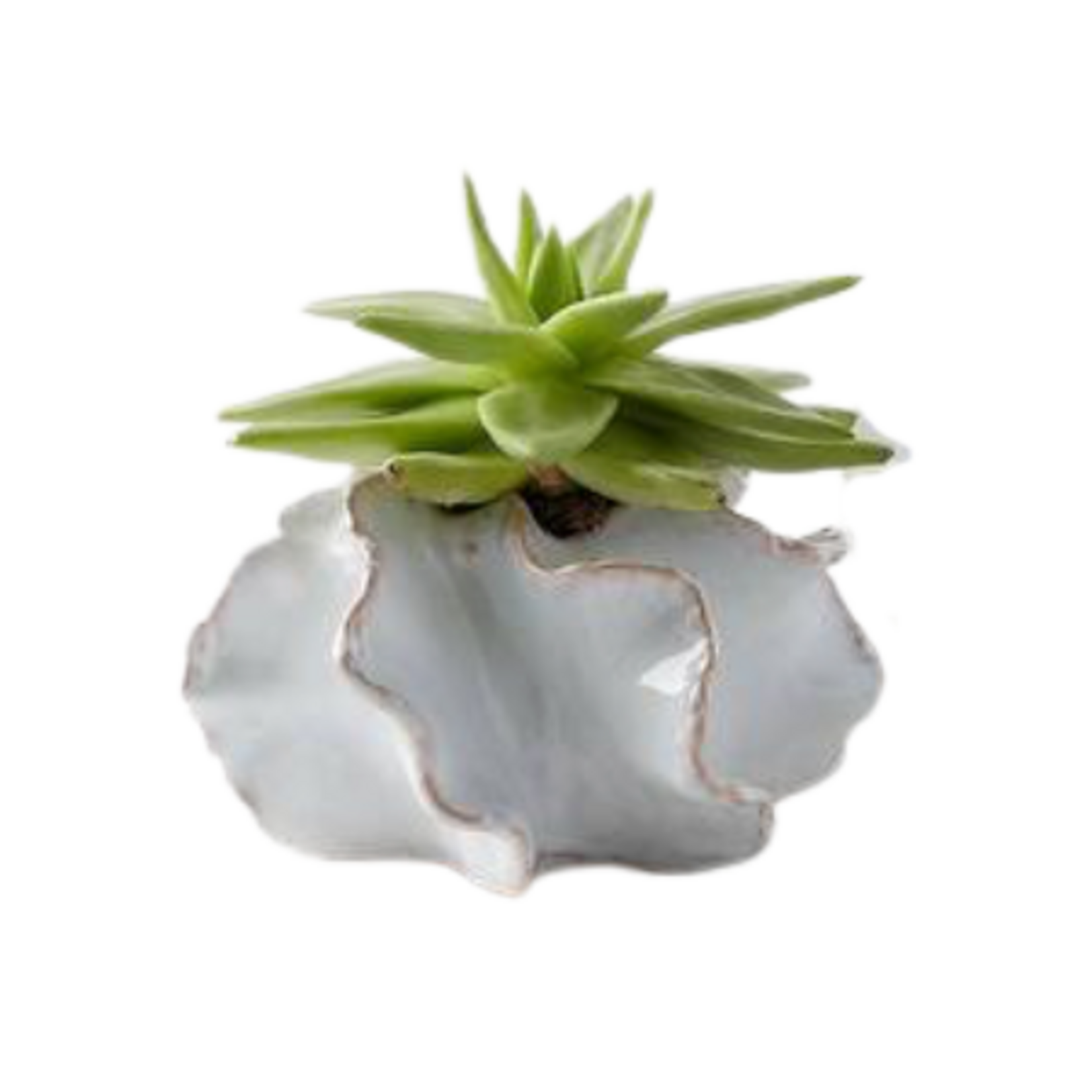 Outside The Box 4" White & Tan Coastal Sea Urchin  Ceramic Planter