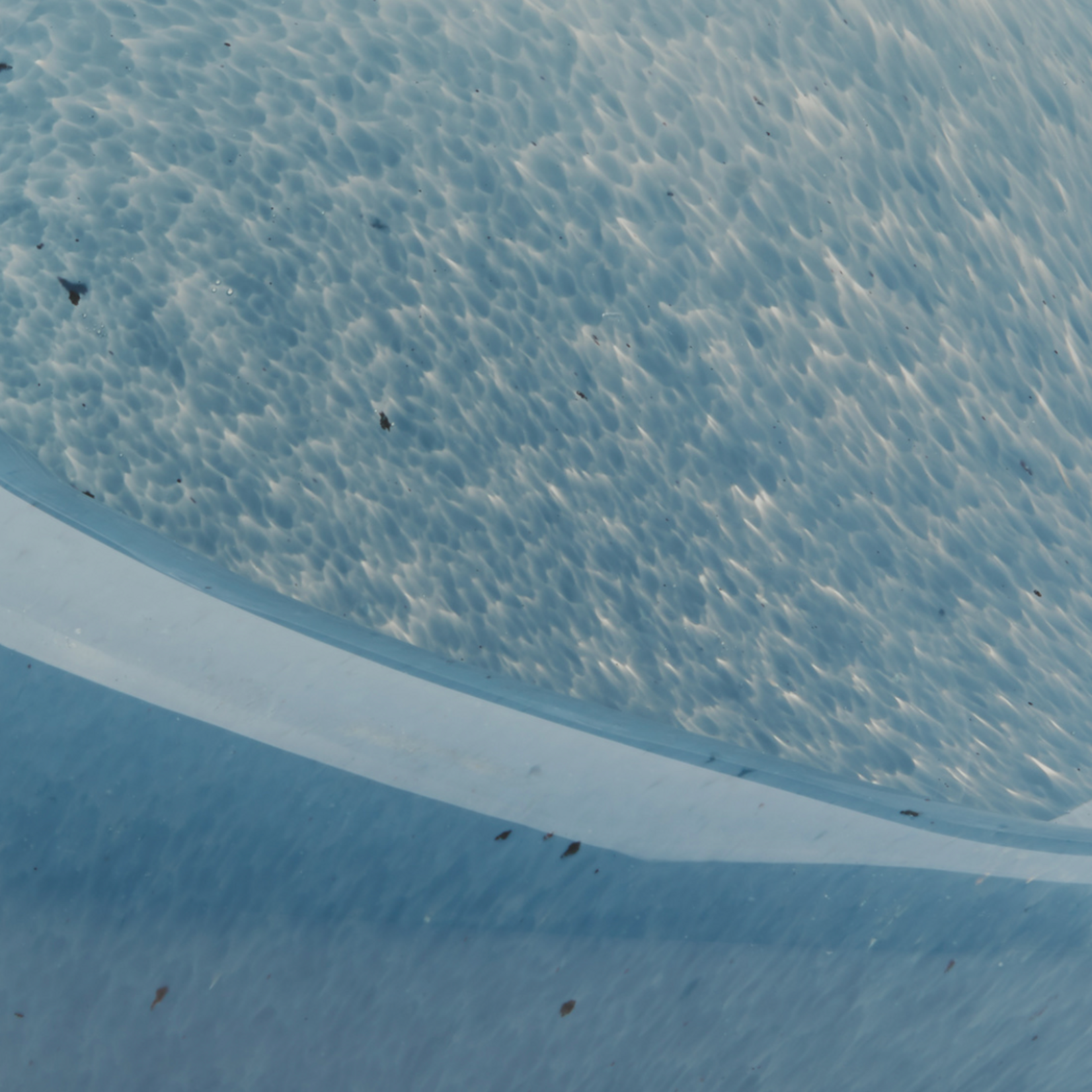 Outside The Box 6" Triton Blue Hand Blown Decorative Glass Shell