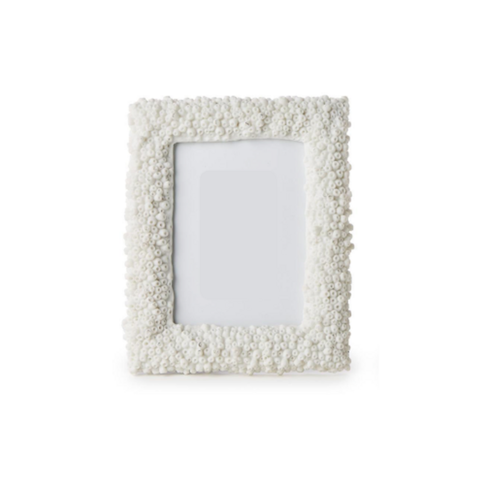 Outside The Box 4x6 White Tube Coral Resin Photo Frame