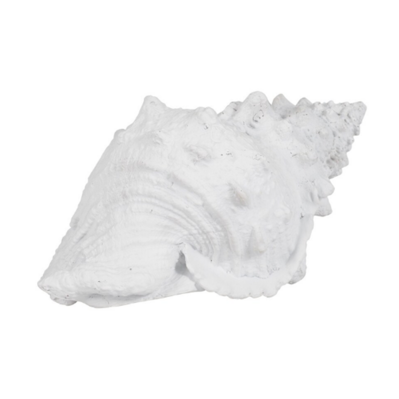 Outside The Box 9" White Conch Shell Hand Crafted Polyresin Sculpture