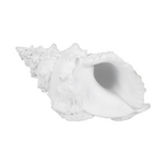 Outside The Box 9" White Conch Shell Hand Crafted Polyresin Sculpture
