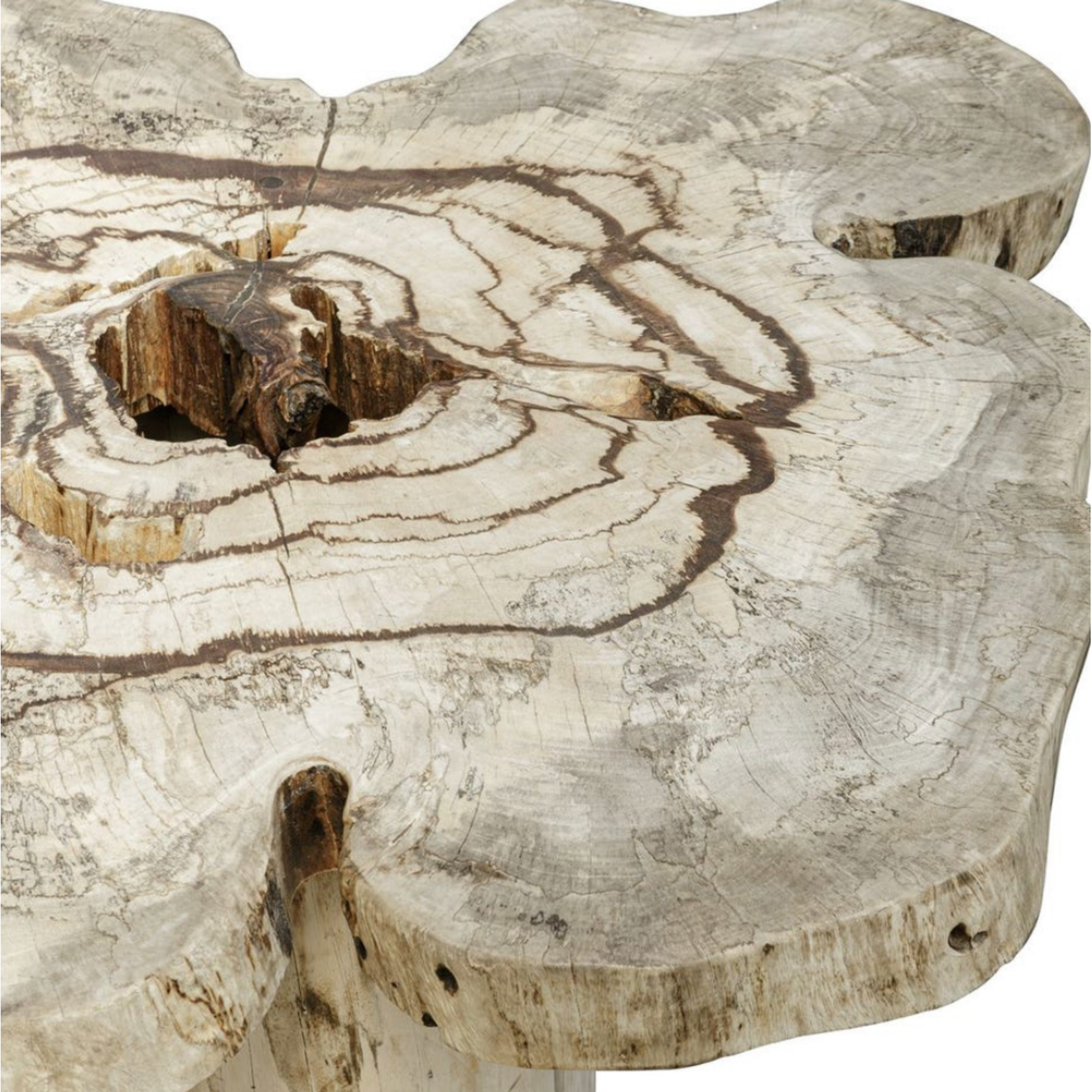 Outside The Box 32x18x16 Anzalone Bleached Tamarind Wood Coffee Table