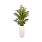 Outside The Box 96" Areca Palm Faux In White Nouveau Planter