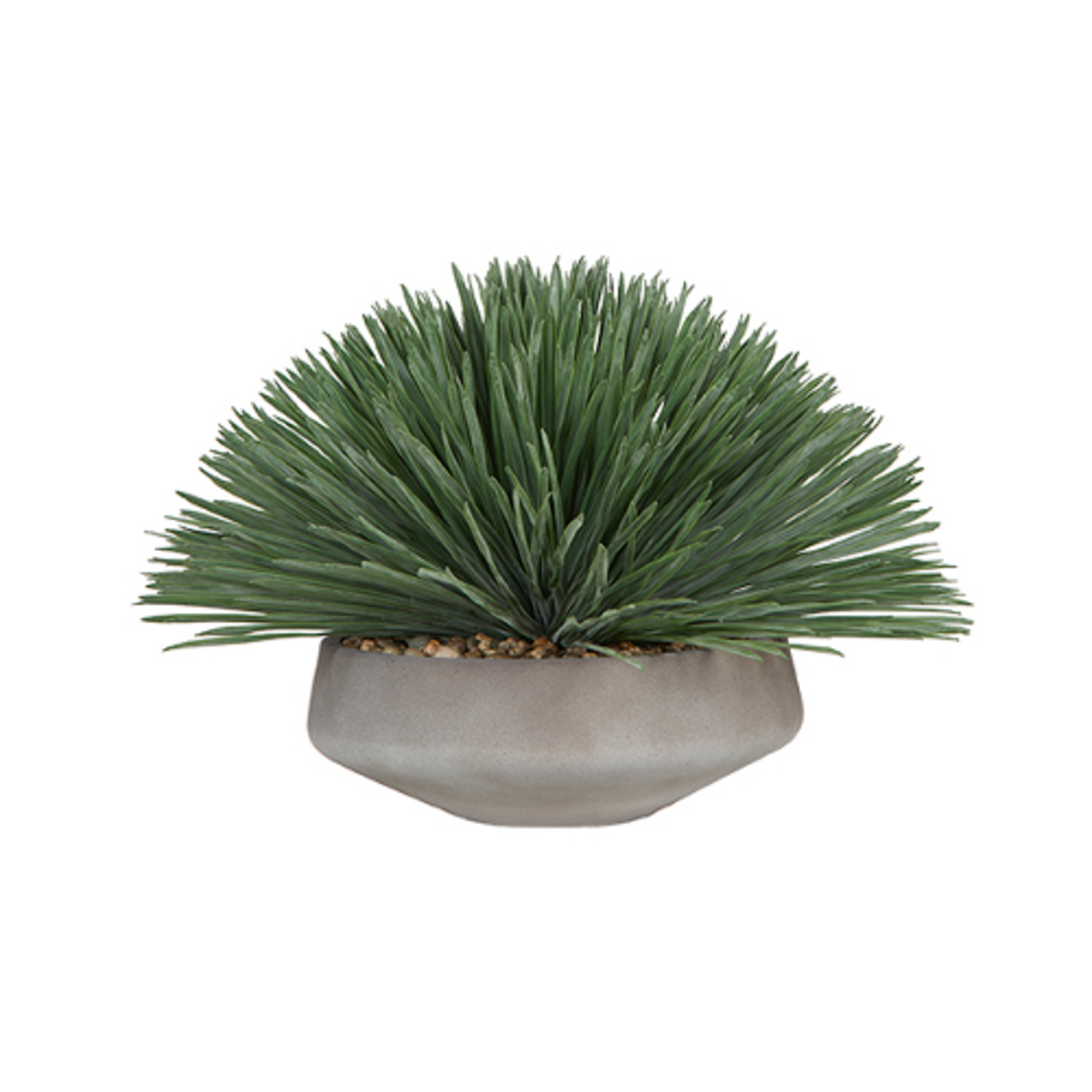 Outside The Box 20" Yucca Rostrata In Gray Newport Bowl