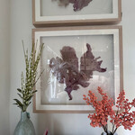 Outside The Box 43x41 Seafan One Of A Kind Shadow Box Frame #1