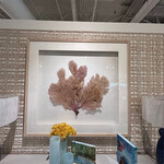 Outside The Box 55x51 Coral Reef XXII One Of a Kind Shadow Box Frame Art