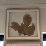 Outside The Box 43x40 Seafan One Of A Kind Shadow Box Frame #4