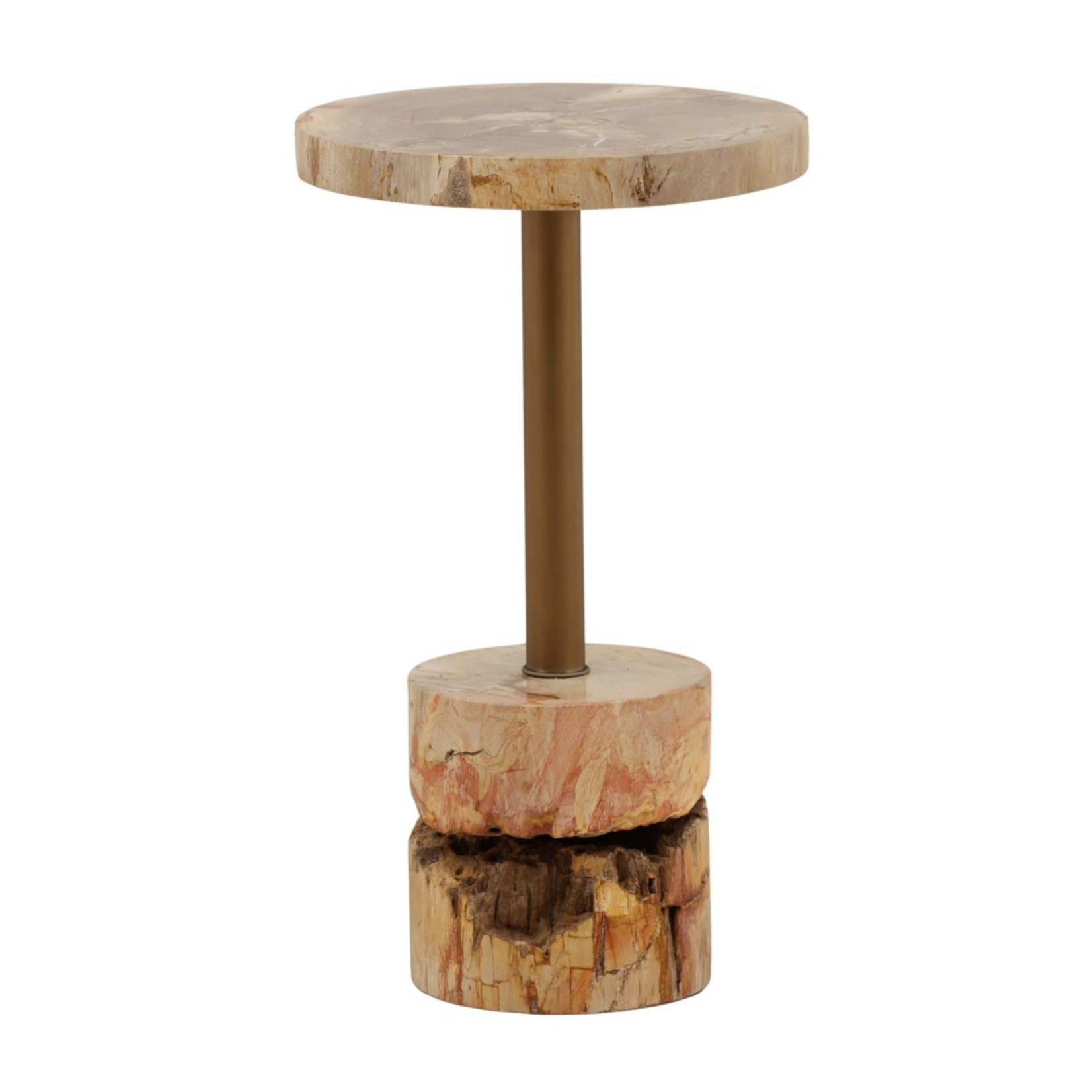 Outside The Box 13x22 Calvus Petrified Wood & Stainless Steel Side Table