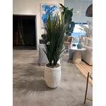 Outside The Box 60" Panicum Faux Grass In Artemis White Planter