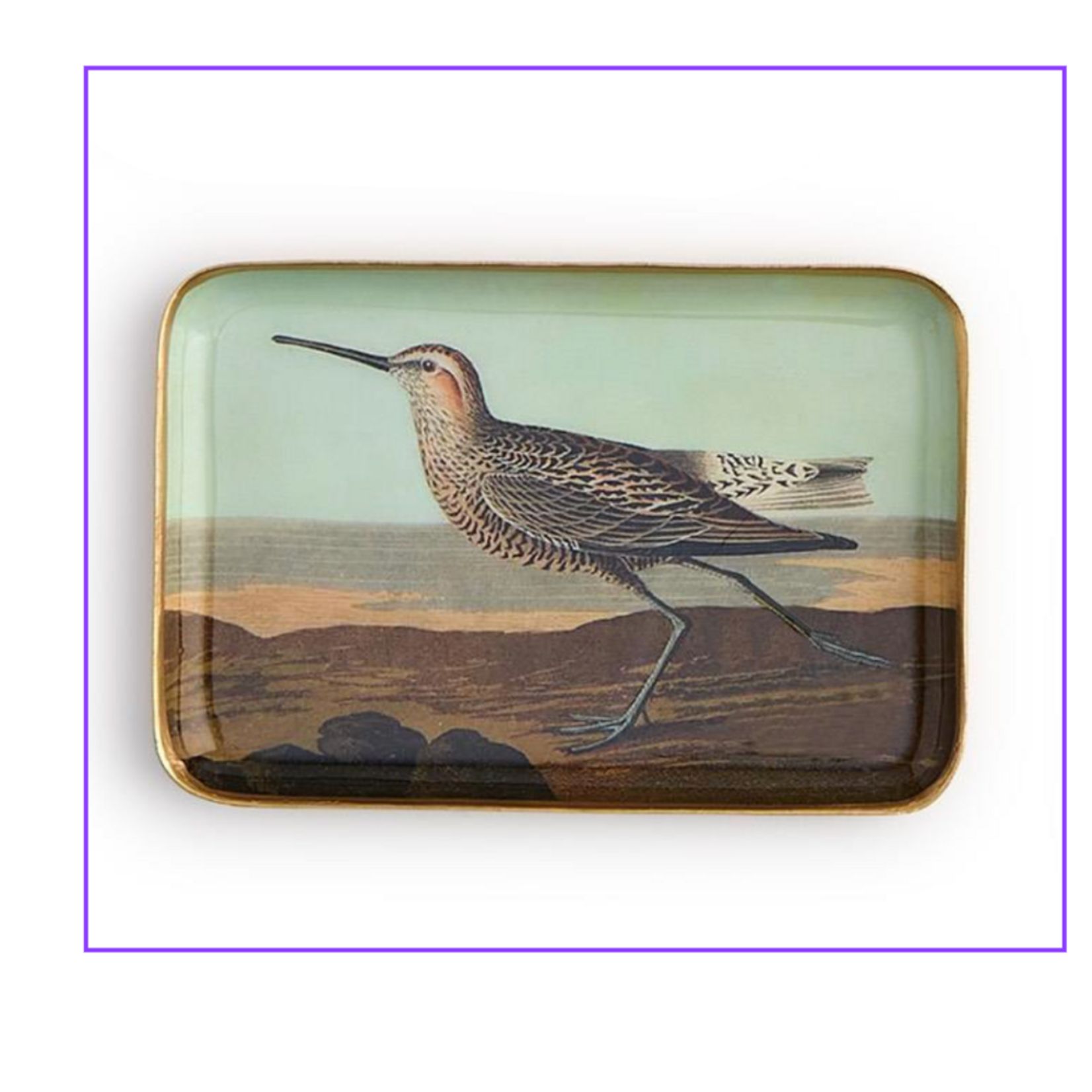Outside The Box 4x6 Sea Bird Enameled Metal Trinket Tray 4 Assorted Design - SOLD SEPARATELY