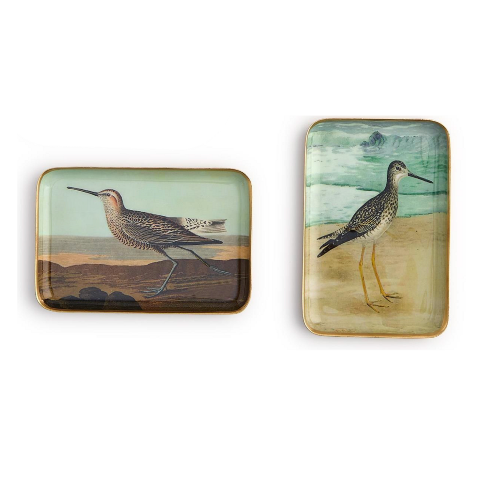 Outside The Box 4x6 Sea Bird Enameled Metal Trinket Tray 4 Assorted Design - SOLD SEPARATELY