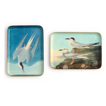 Outside The Box 5x7 Sea Bird Enameled Metal Trinket Tray 4 Assorted Design - SOLD SEPARATELY