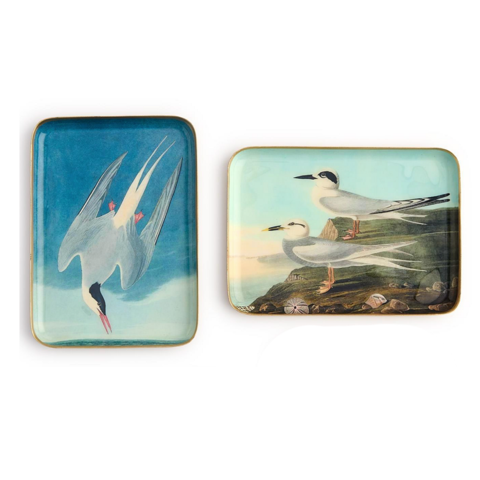Outside The Box 5x7 Sea Bird Enameled Metal Trinket Tray 4 Assorted Design - SOLD SEPARATELY