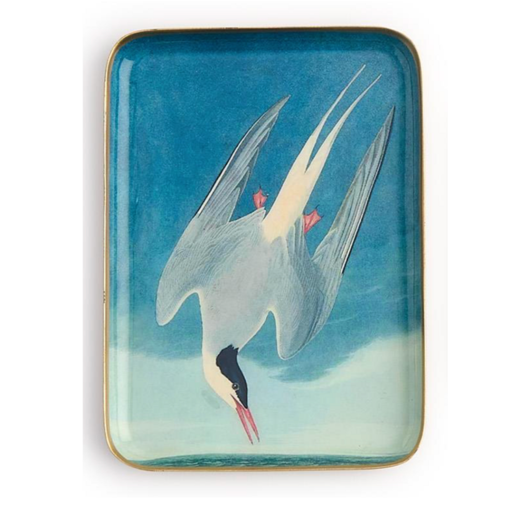 Outside The Box 5x7 Sea Bird Enameled Metal Trinket Tray 4 Assorted Design - SOLD SEPARATELY