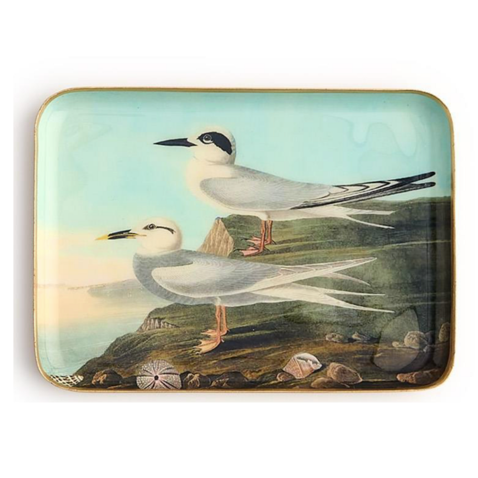 Outside The Box 5x7 Sea Bird Enameled Metal Trinket Tray 4 Assorted Design - SOLD SEPARATELY