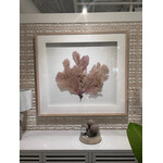 Outside The Box 56x46 Coral Reef XXII One Of a Kind Shadow Box Frame Art