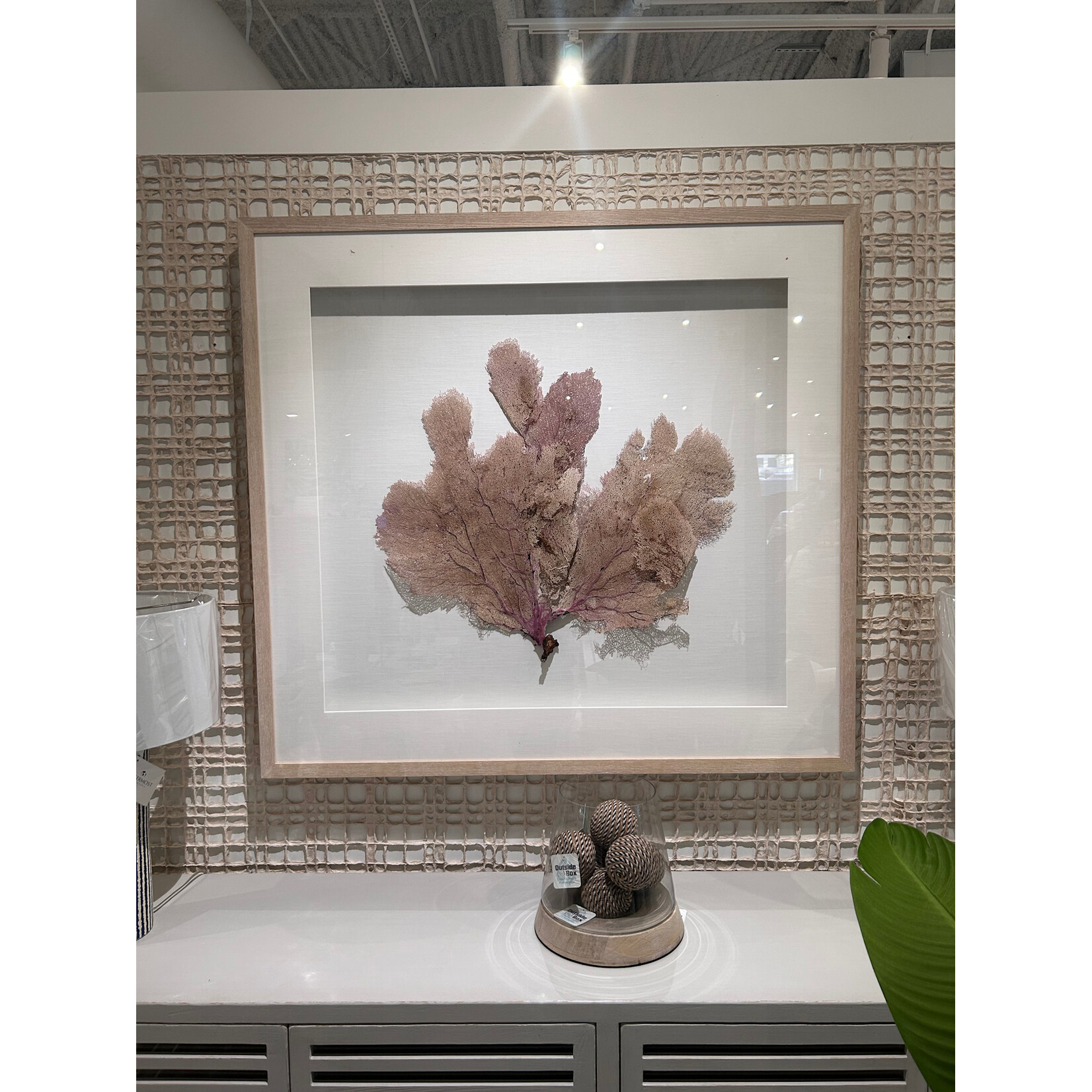 Outside The Box 56x46 Coral Reef XXII One Of a Kind Shadow Box Frame Art
