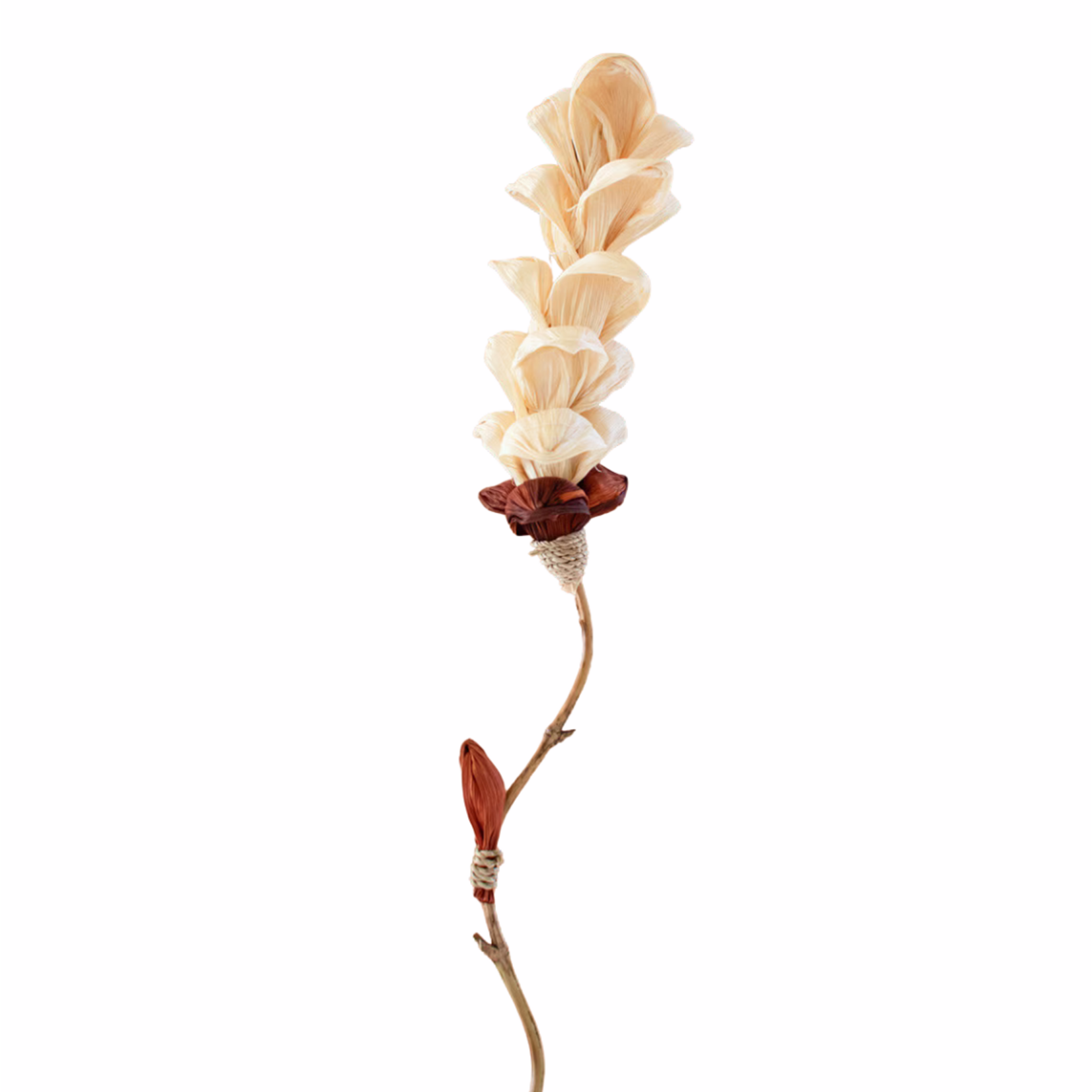 Outside The Box 56" Snap Dragon Cornhusk Botanical Bamboo Stem