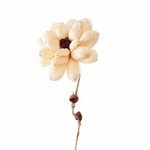 Outside The Box 56" Camilia Cornhusk Botanical Bamboo Stem