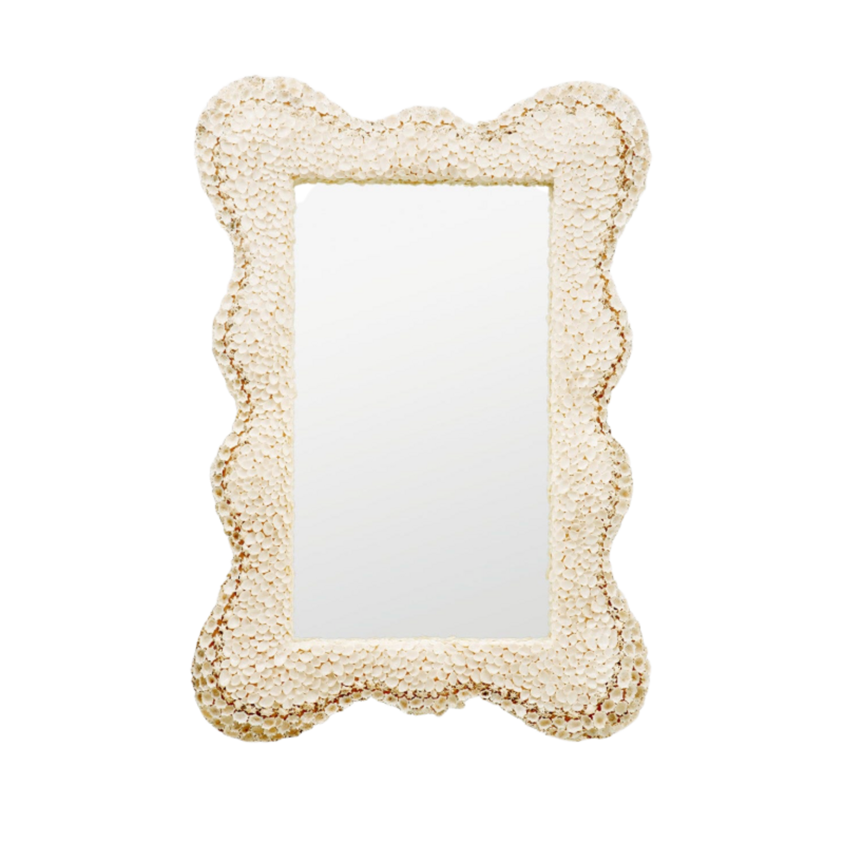 Outside The Box 38x26 Isabella Beige Shell Sourced Shells Mirror
