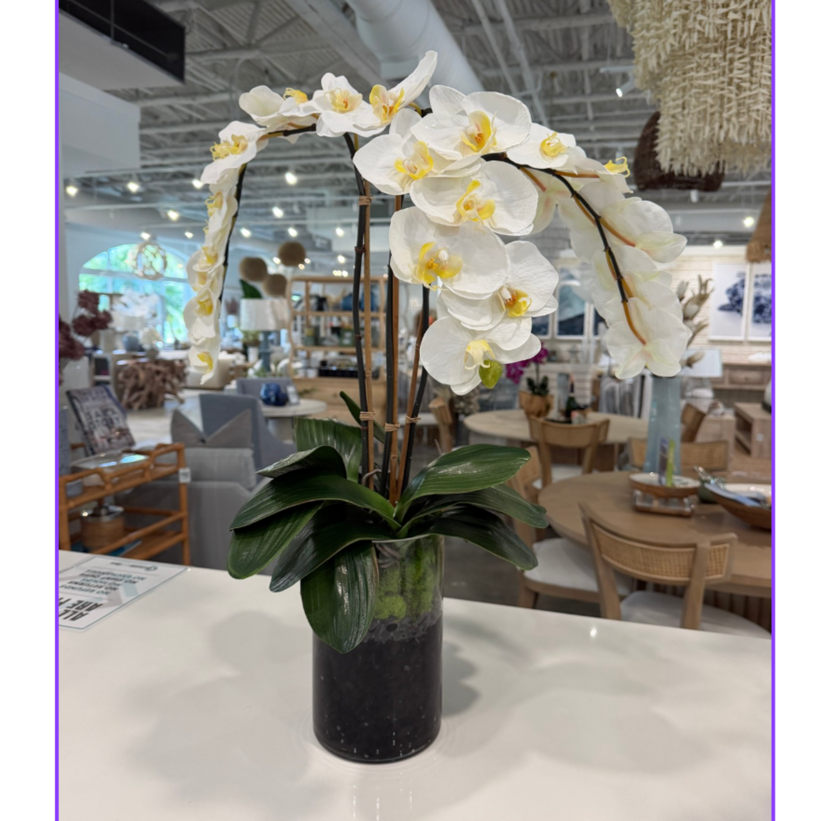 Outside The Box Three White Phalaenopsis Orchid In Round Glass Vase