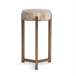 Outside The Box 14x23 Alliza Petrified Wood & Stainless Steel Side Table