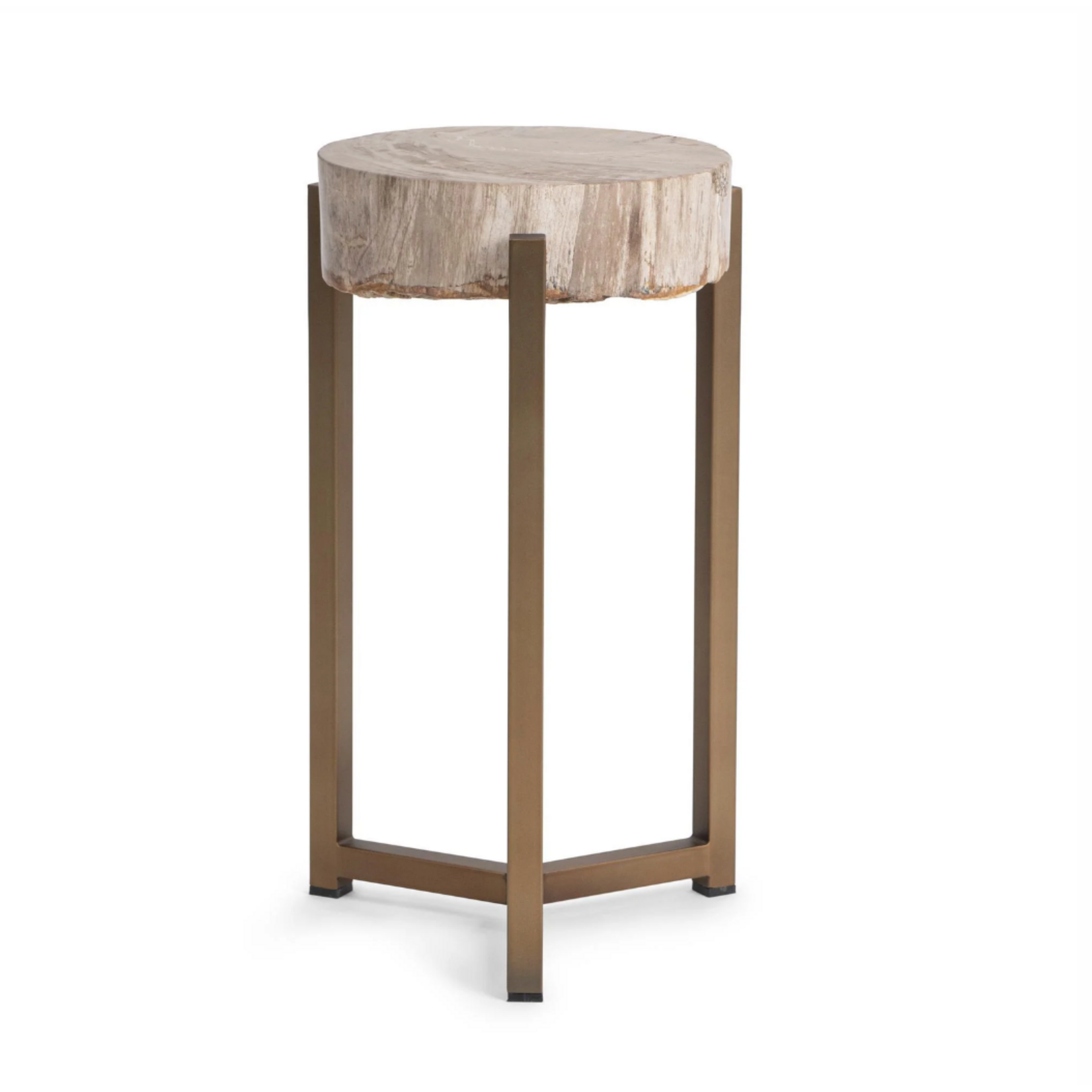Outside The Box 14x23 Alliza Petrified Wood & Stainless Steel Side Table