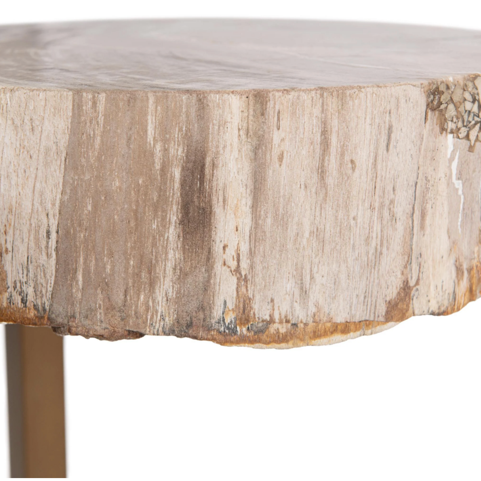 Outside The Box 14x23 Alliza Petrified Wood & Stainless Steel Side Table