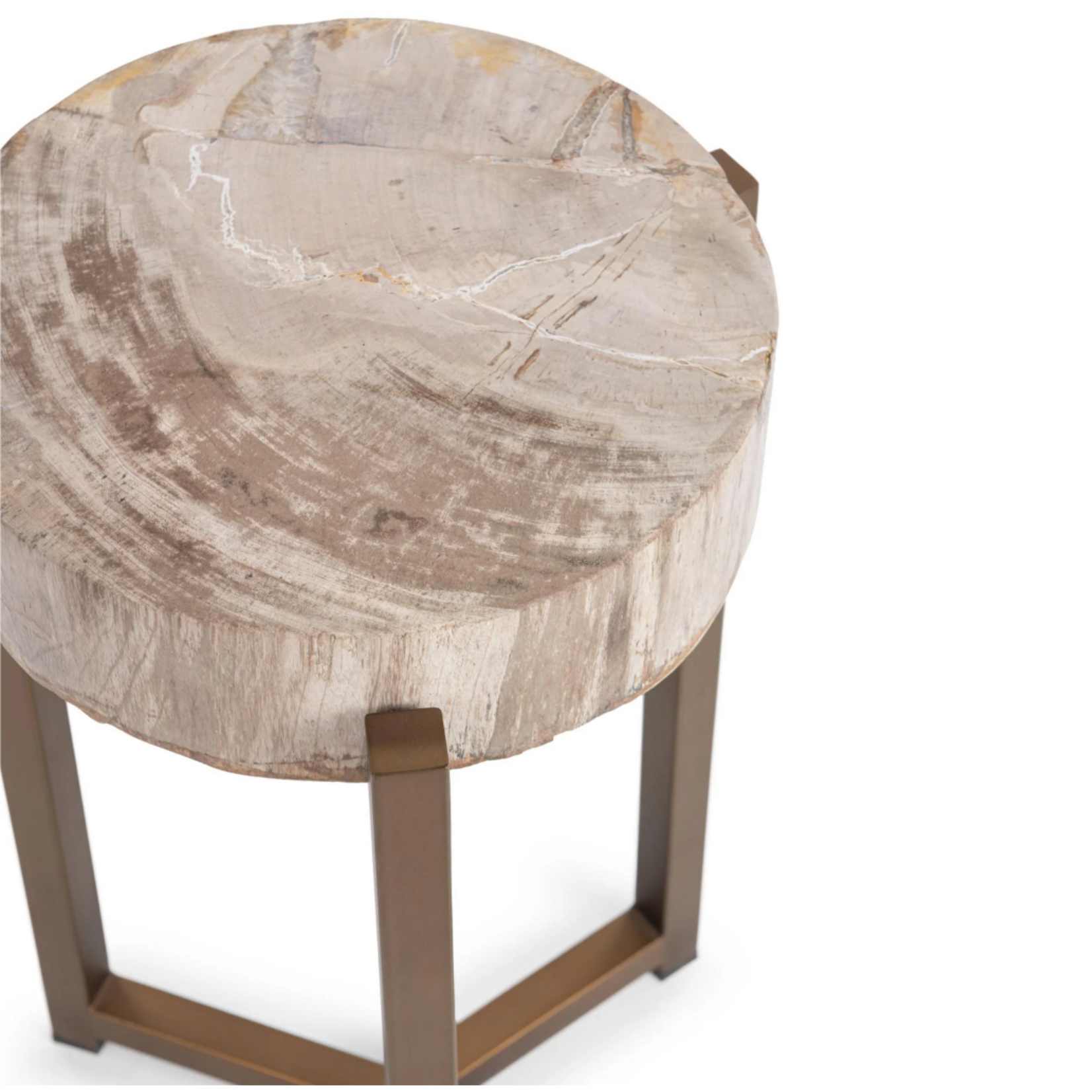 Outside The Box 14x23 Alliza Petrified Wood & Stainless Steel Side Table