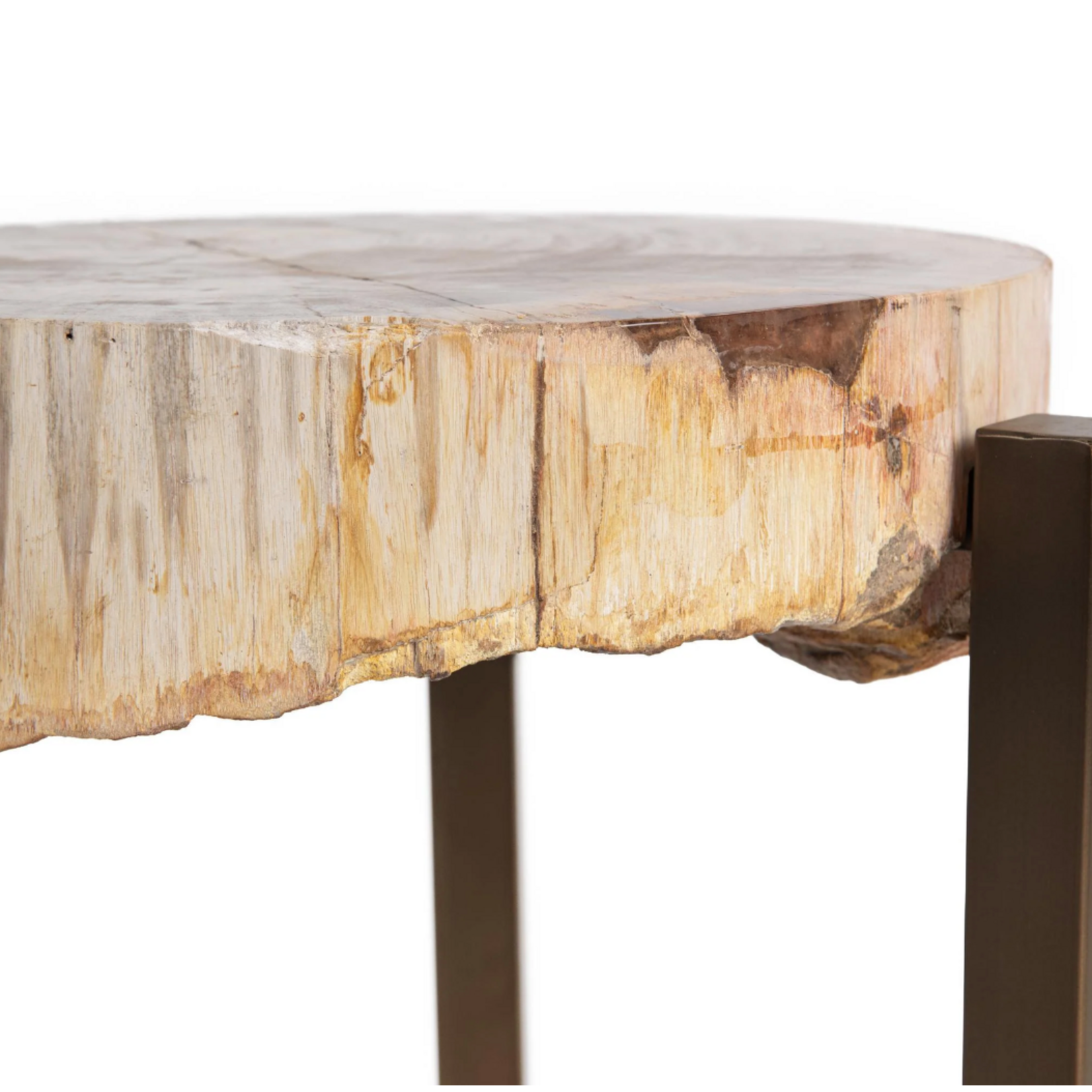 Outside The Box 16x25 Alliza Petrified Wood & Stainless Steel Side Table