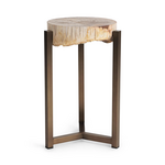 Outside The Box 16x25 Alliza Petrified Wood & Stainless Steel Side Table