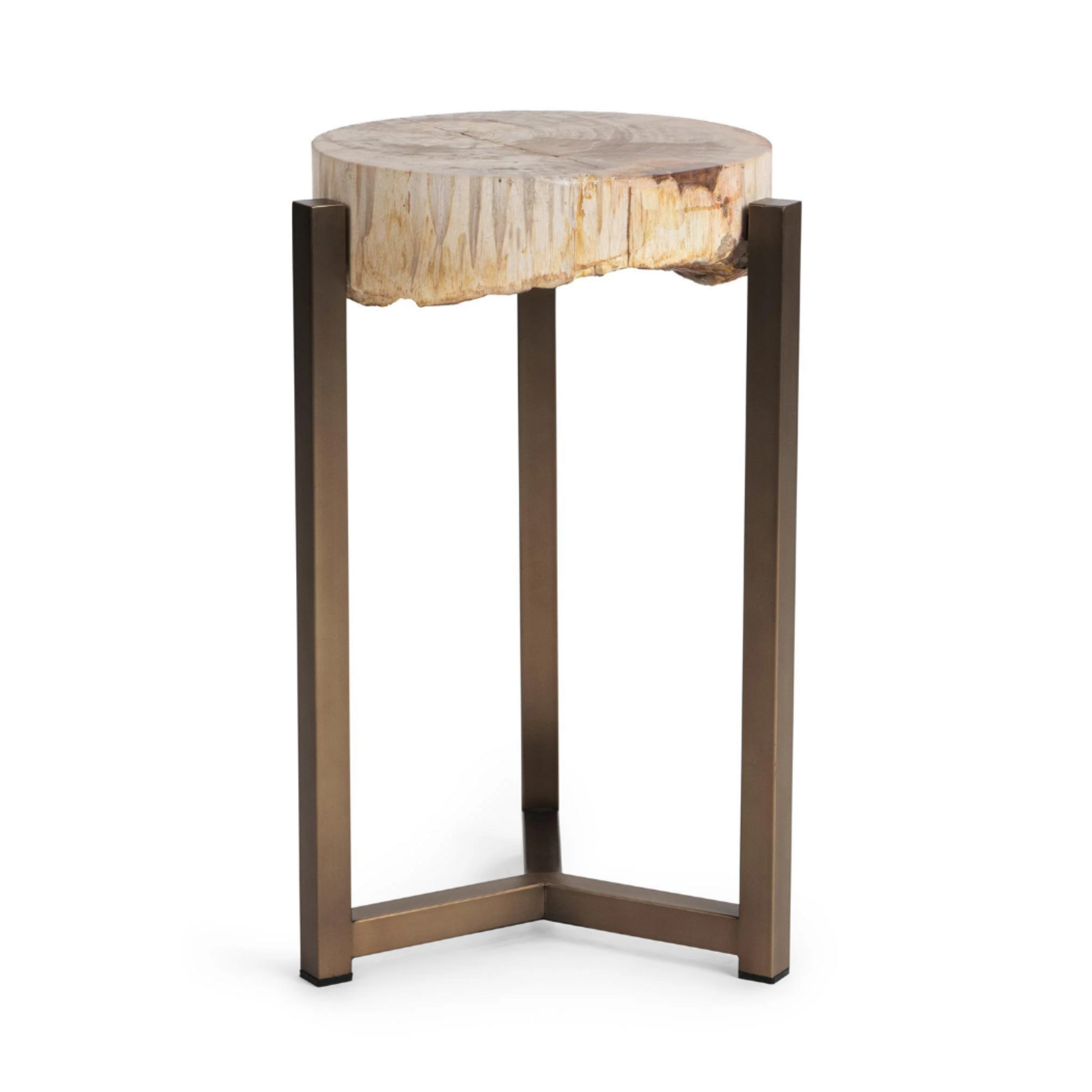 Outside The Box 16x25 Alliza Petrified Wood & Stainless Steel Side Table