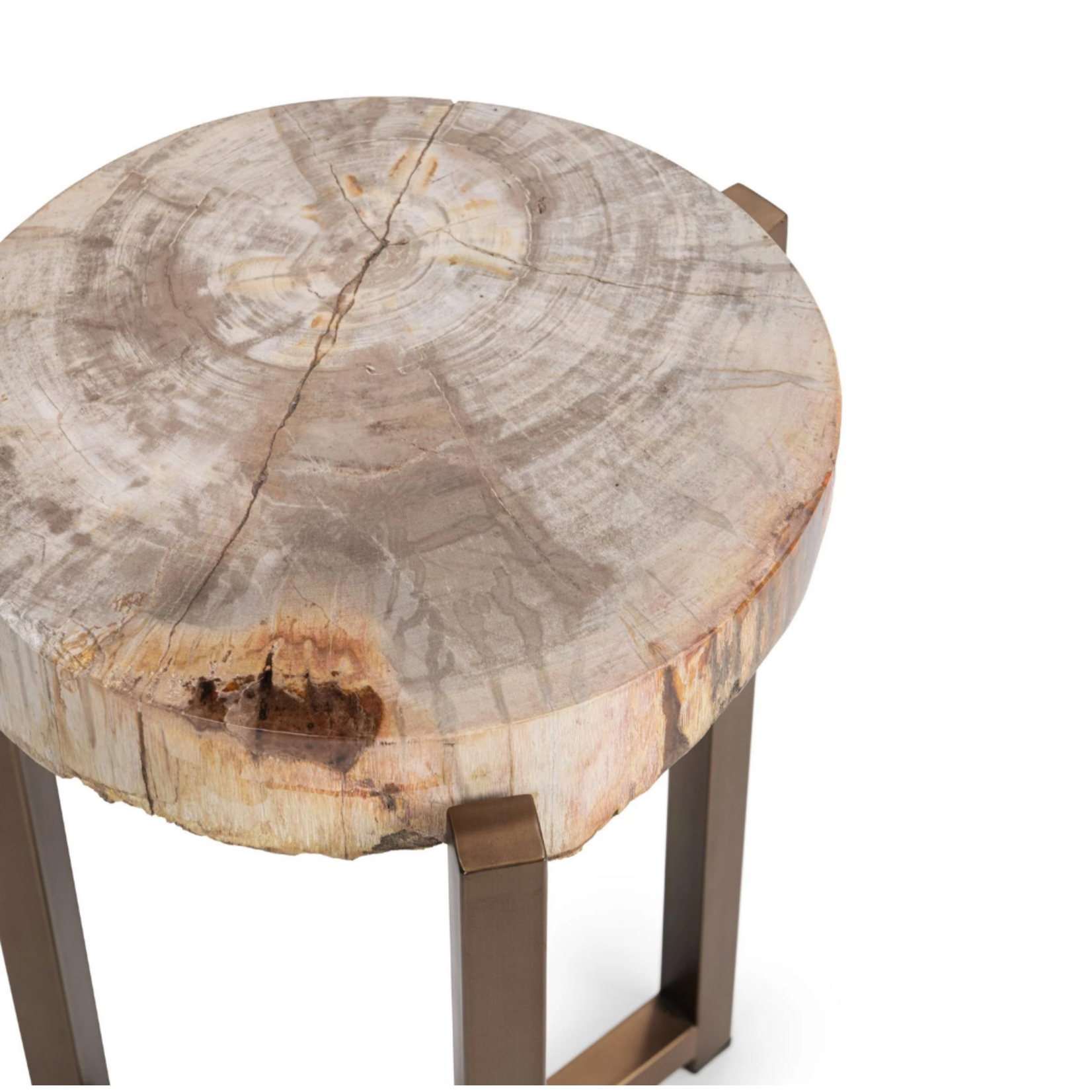 Outside The Box 16x25 Alliza Petrified Wood & Stainless Steel Side Table