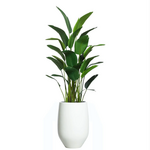 Outside The Box 9' Palm Traveler’s Seluxe Silk Tree In White Tapered Pot
