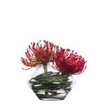 Outside The Box 6" Pincushion Red Faux Water Flower In Glass Vase