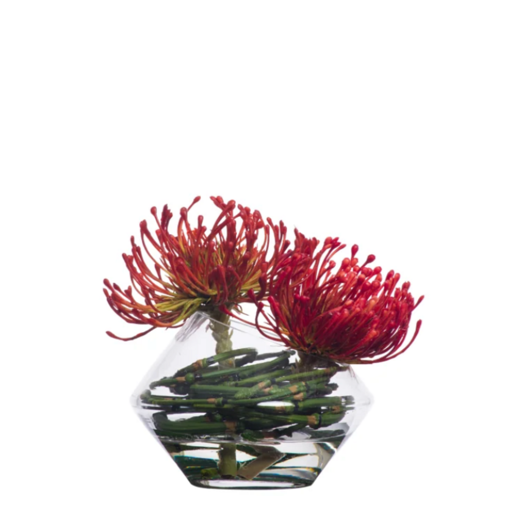 Outside The Box 6" Pincushion Red Faux Water Flower In Glass Vase