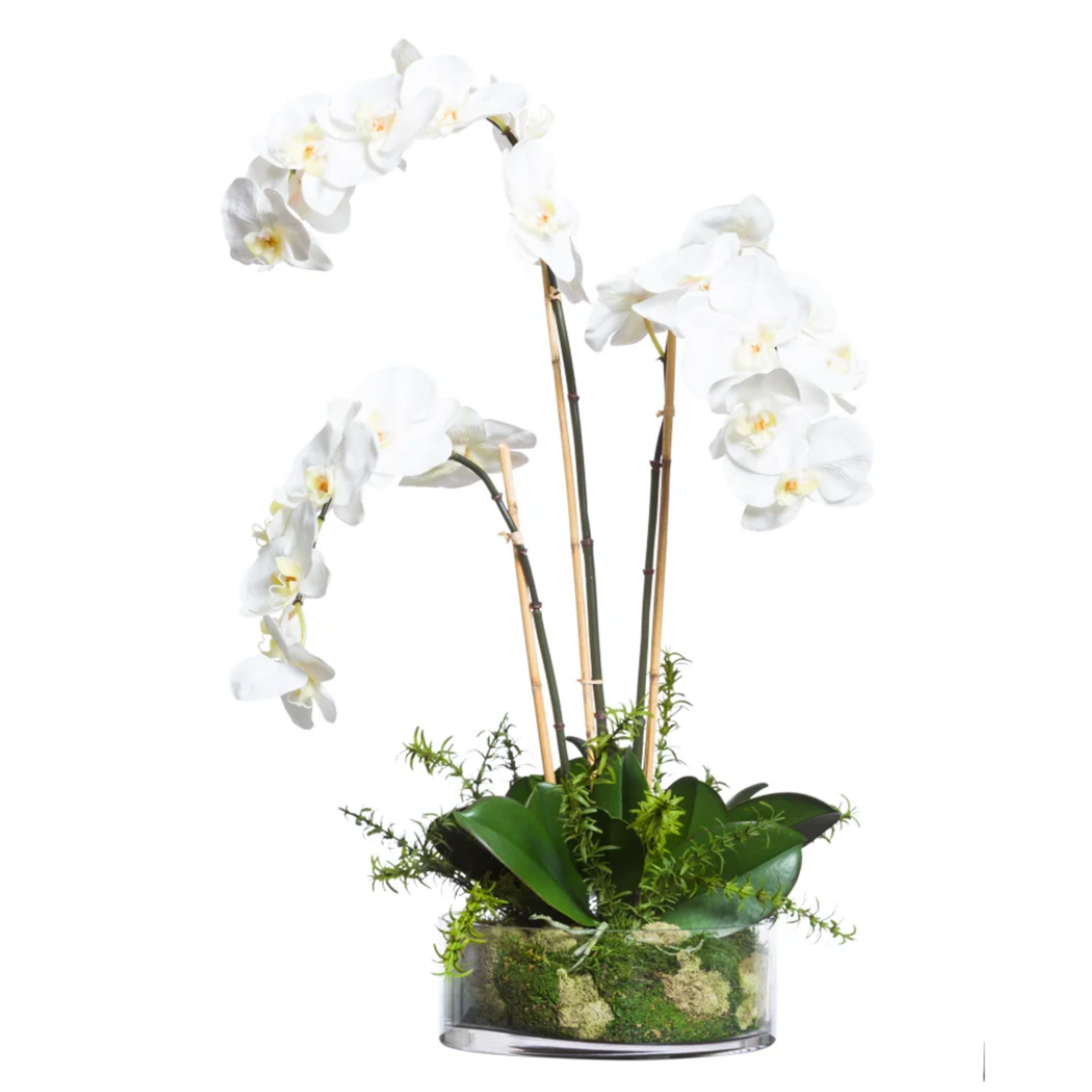 Outside The Box 29" White Orchid Phalaenopsis Faux Plant In Glass Vase