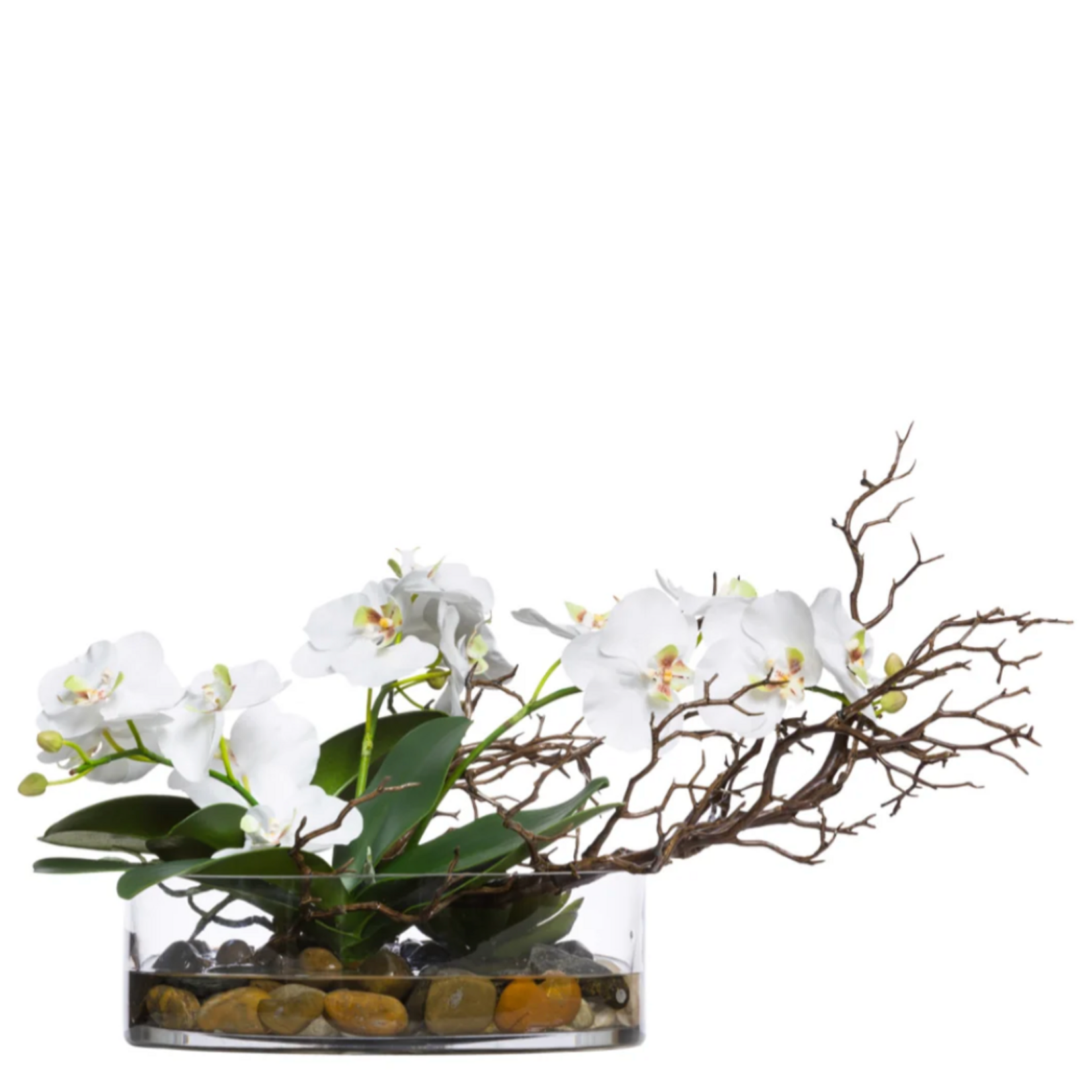Outside The Box 13" White Orchid Phalaenopsis & Manzanita Faux Plant In Glass Vase