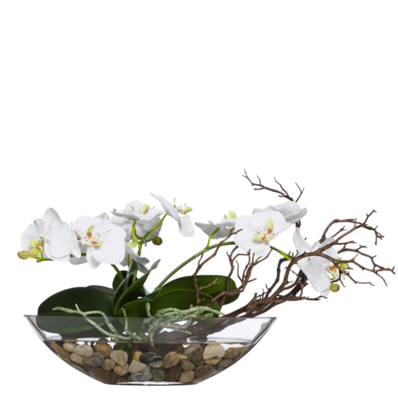 Outside The Box 13" White Orchid Phalaenopsis & Manzanite Faux Plant In Oval Glass Bowl