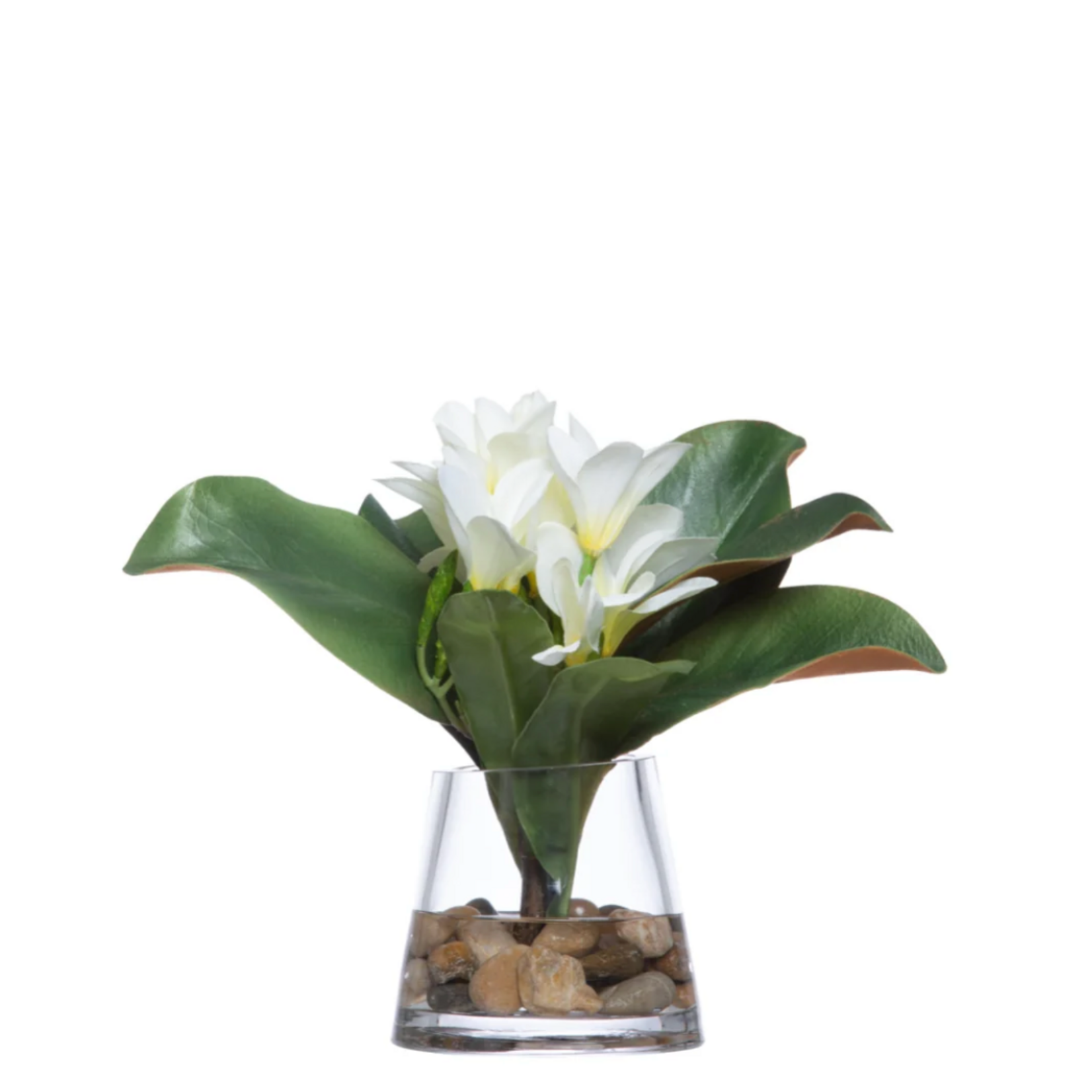 Outside The Box 10" Plumeria Faux Water Flower In Glass Vase